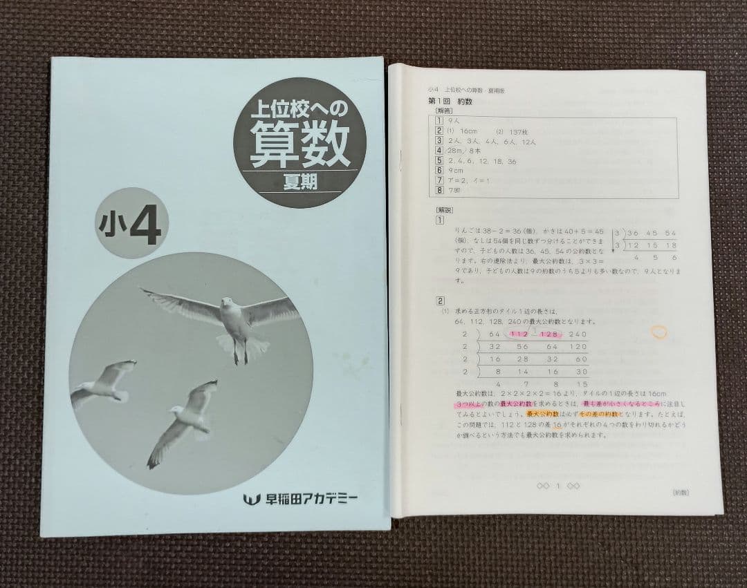 小4 夏期講習 早稲田アカデミー 早稲アカ　上位校