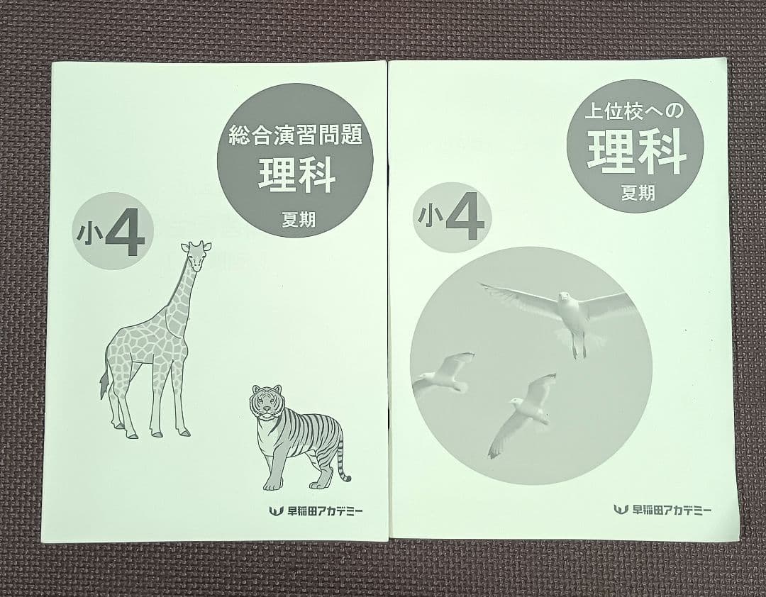 小4 夏期講習 早稲田アカデミー 早稲アカ　上位校