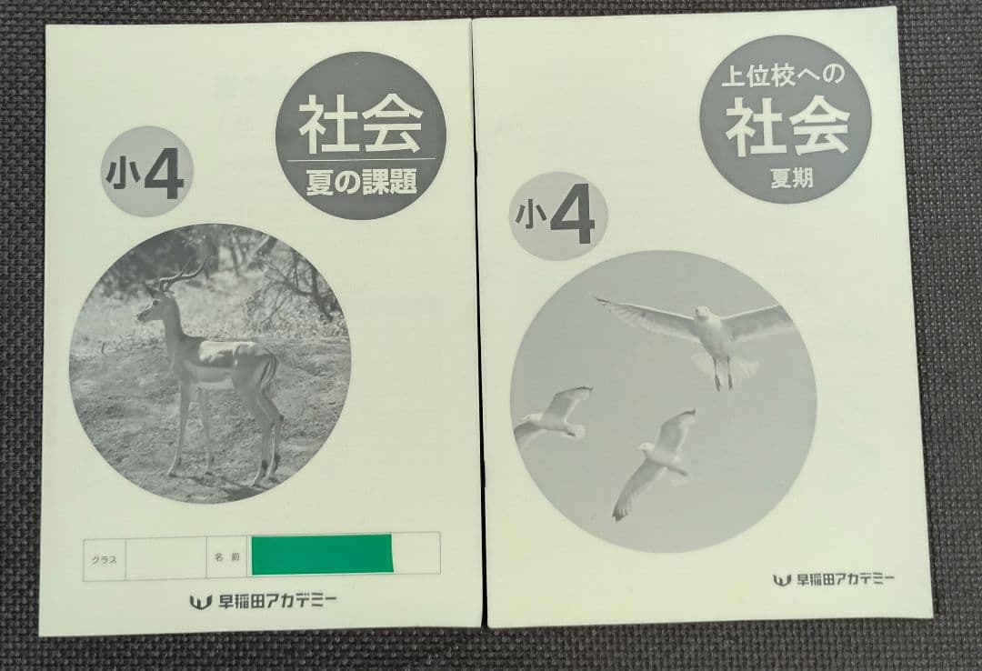 小4 夏期講習 早稲田アカデミー 早稲アカ　上位校