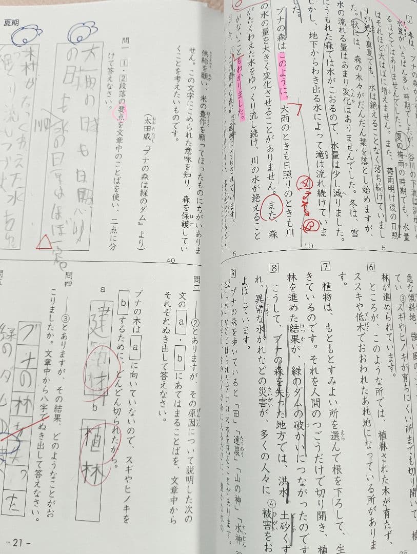 小4 夏期講習 早稲田アカデミー 早稲アカ　上位校