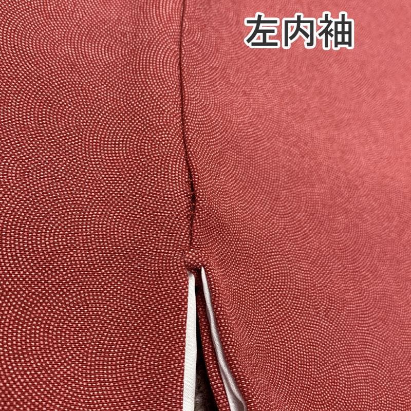 510mk9〇極鮫 作家物 江戸小紋 草木染 赤系〇美品