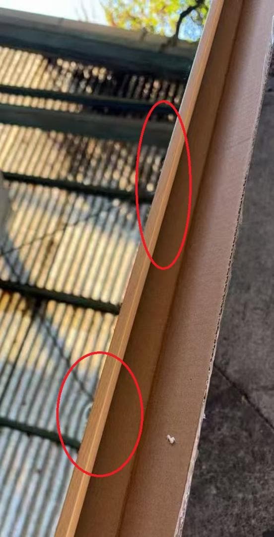 【中古】スタンドミラー 壁掛け 割れない鏡 幅100x160cm 木色 9番