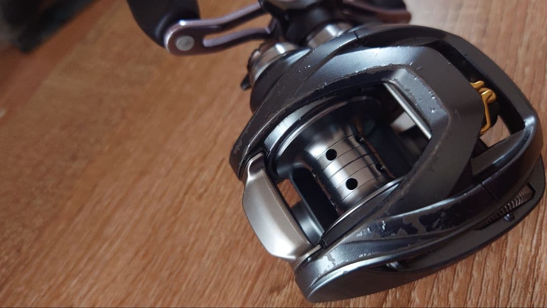 ダイワ スティーズA TW 左巻