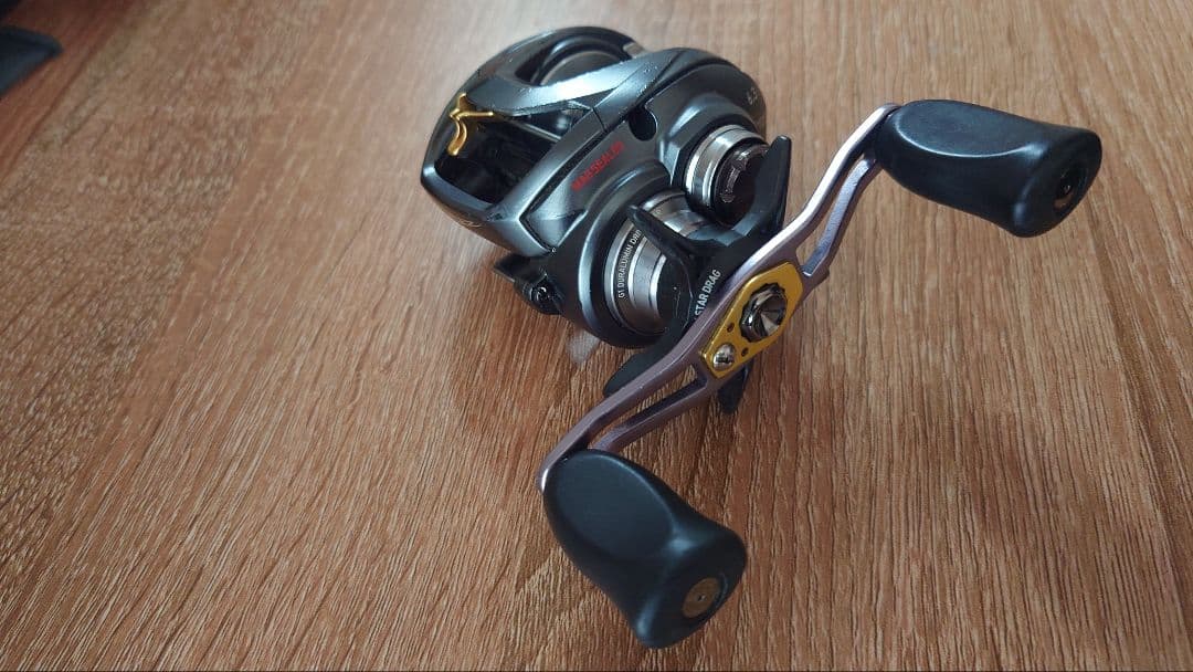 ダイワ スティーズA TW 左巻