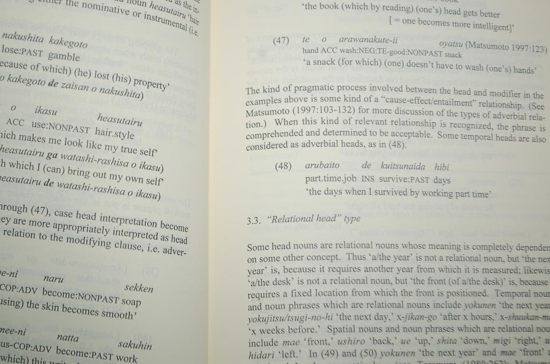 Japanese Shōichi Iwasaki著 日本語　岩崎祥一　洋書