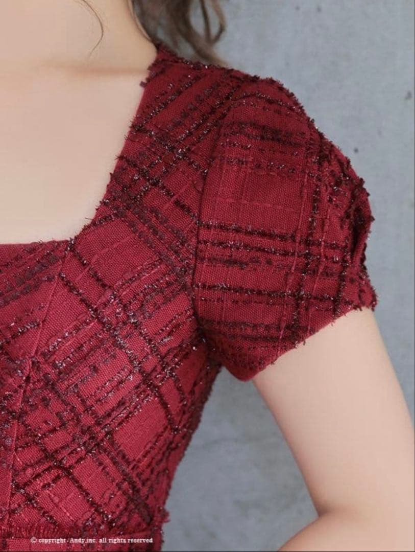 Andy マーメイド フロントジップミディア ムドレスアンディ