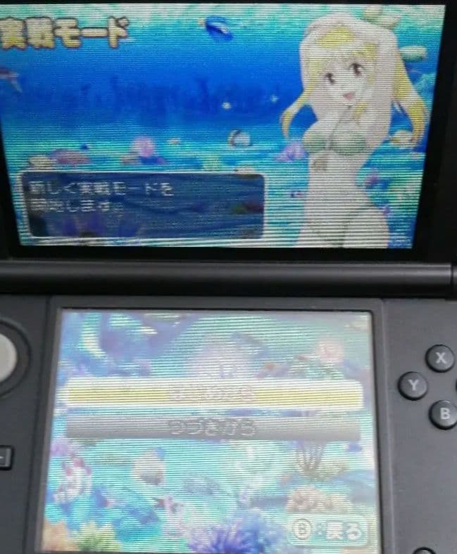 任天堂3DS用 パチパラ3D プレミアム海物語 〜夢見る乙女とパチンコ王決定戦〜