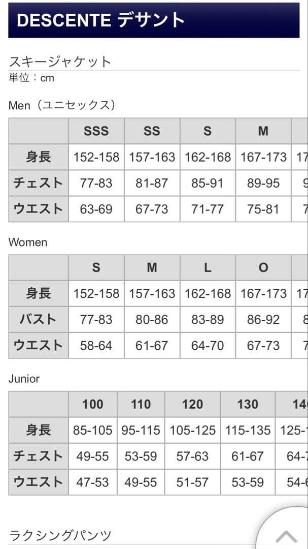 【他商品発送につき明日まで値下げ】スキーウェア　DESCENTE 上下セット