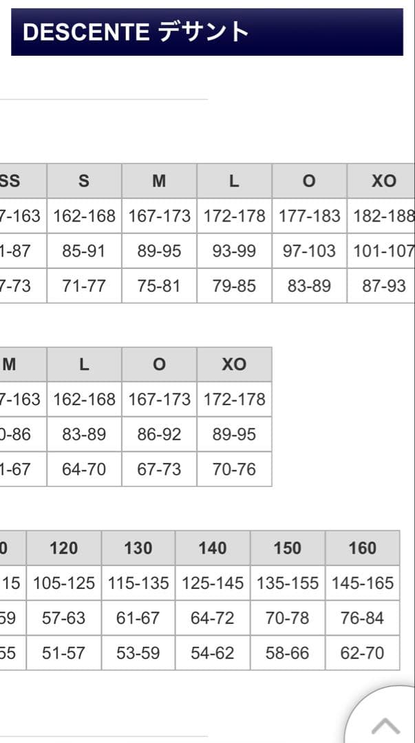 【他商品発送につき明日まで値下げ】スキーウェア　DESCENTE 上下セット