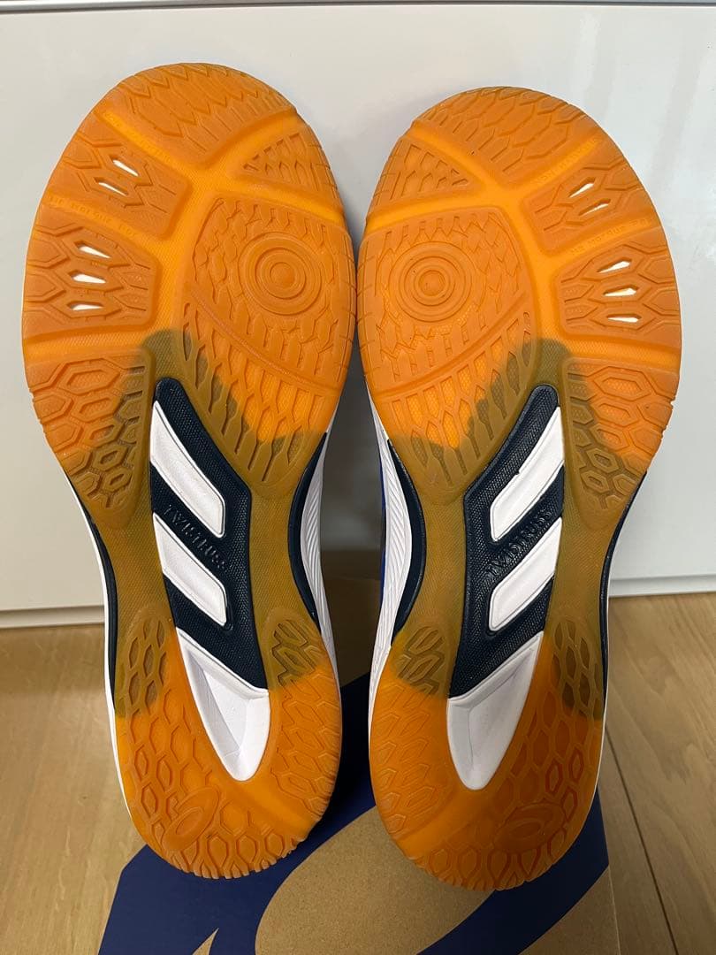 ROTE JAPAN LYTE FF 3 バレーボールシューズ28.5cm