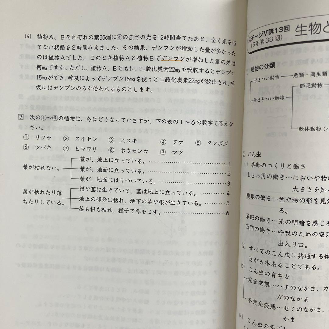 6年生 合格力 完成教室 ステージV 教材セット 日能研