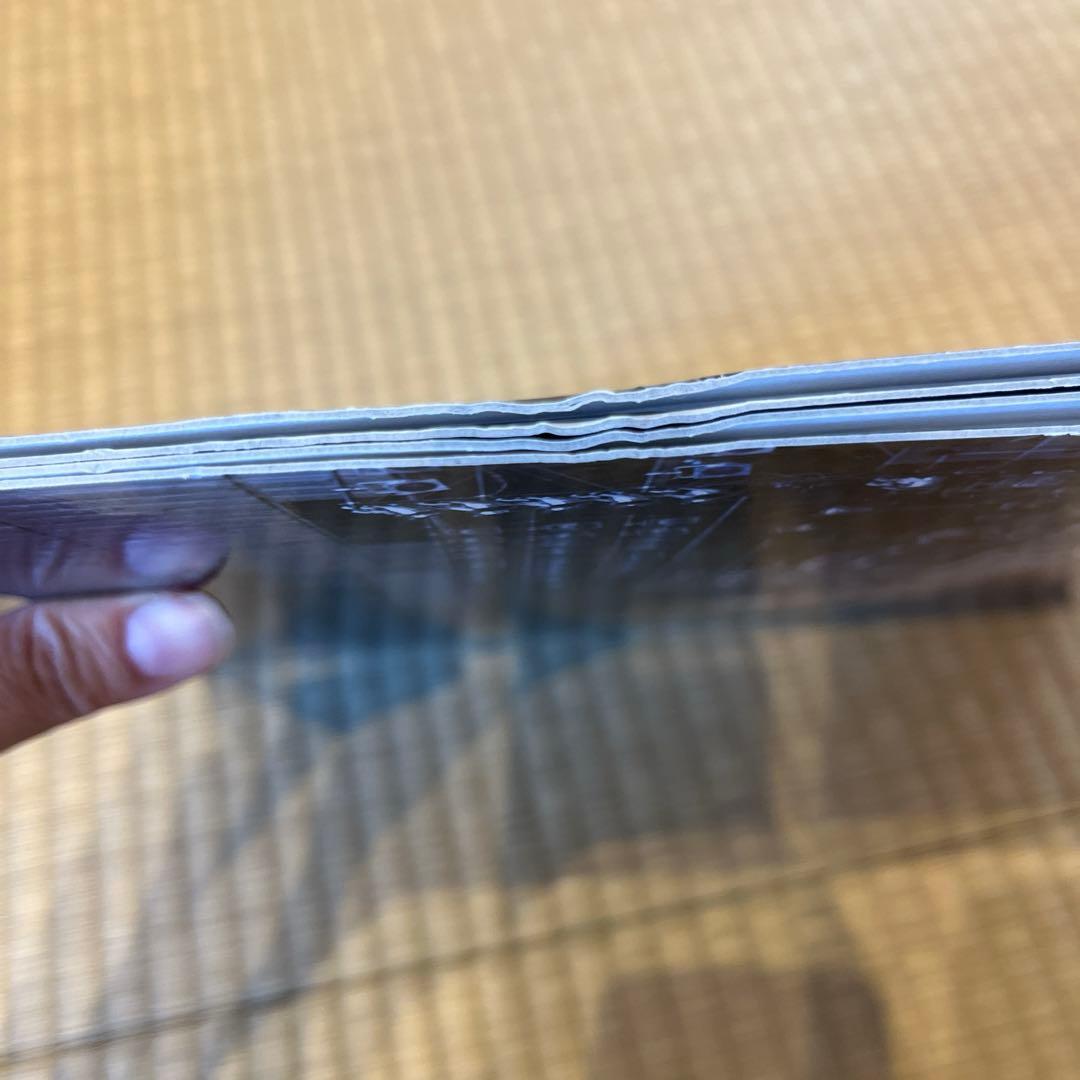 フィッシュマンズ　8月の現実 レコード