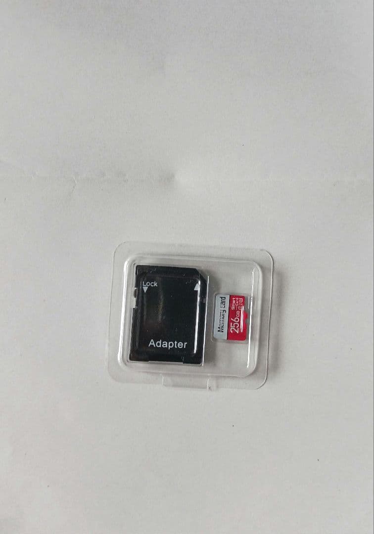 NintendoSwitch 未対策機 + 256sd