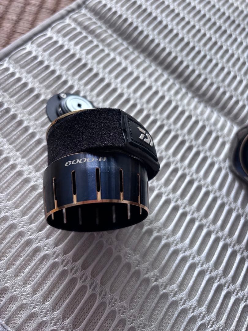 げ*ろ様 肉*7様 DAIWA 23SALTIGA 6000-H スピニングリー