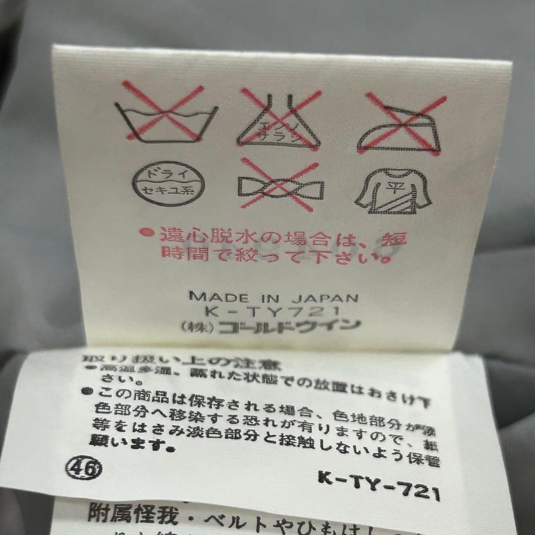 m5952【ゴールドウイン 日本代表 ナショナルチーム】スキーウェア 上下 L