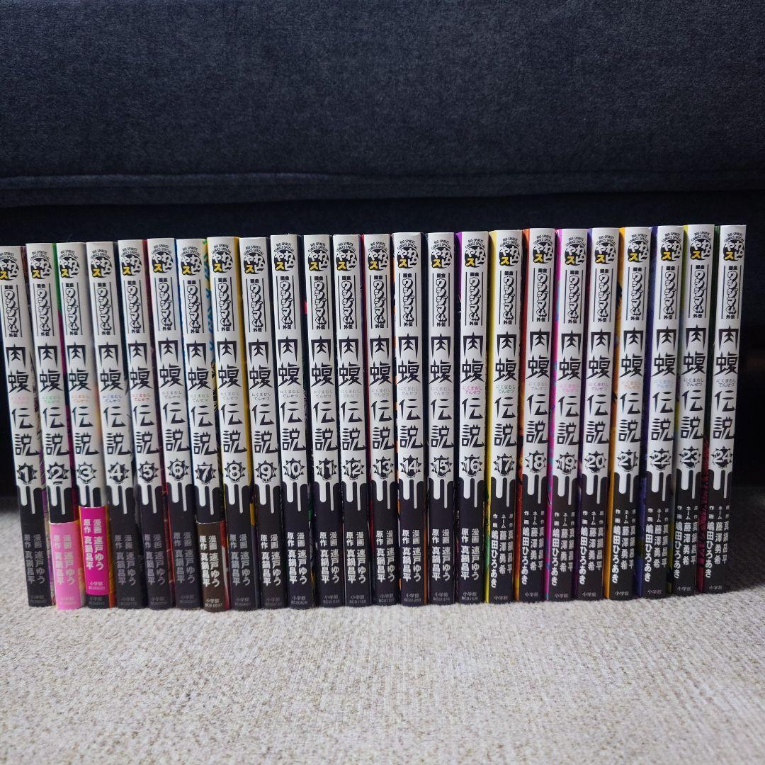 闇金ウシジマくん 外伝 肉蝮伝説 全巻セット(1〜24巻)