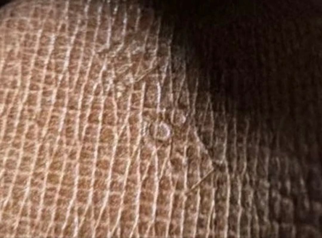 チュールリー ルイ・ヴィトン ショルダーバッグ 廃盤レア モノグラム