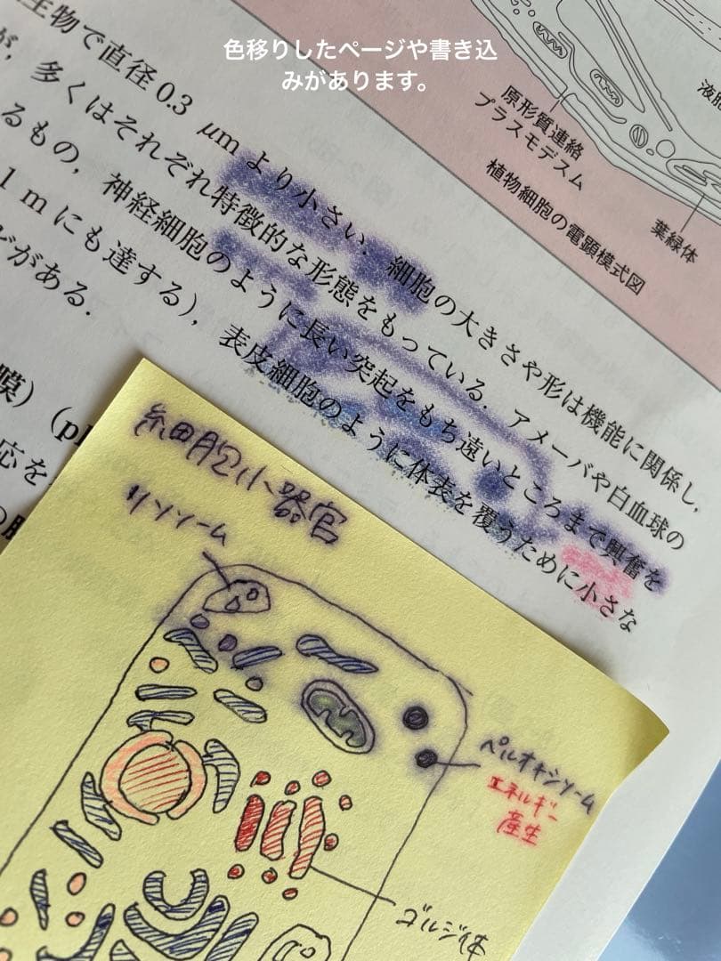 臨床検査技師 教科書 バラ売り可