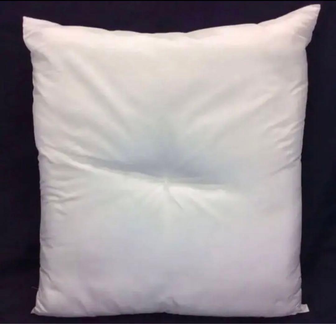 ヌード座布団 55×59㎝ 中身本体 5枚座布団カバーブラウン5枚