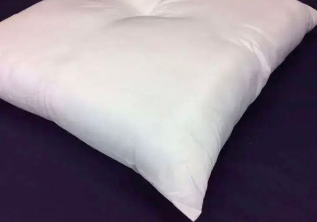 ヌード座布団 55×59㎝ 中身本体 5枚座布団カバーブラウン5枚