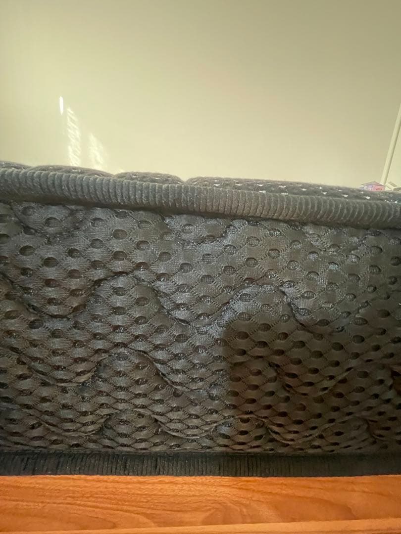 極美品！　ダブルサイズ　ゴクミン