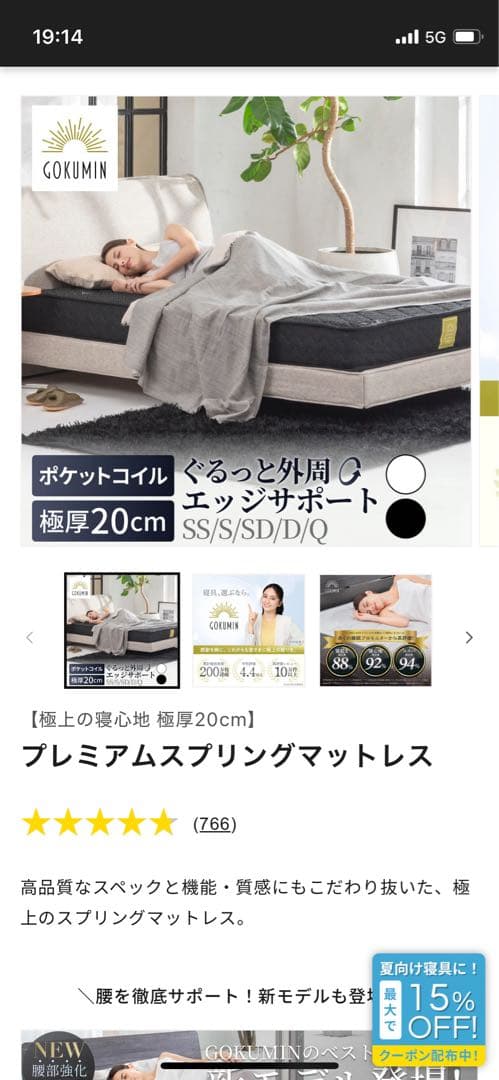 極美品！　ダブルサイズ　ゴクミン