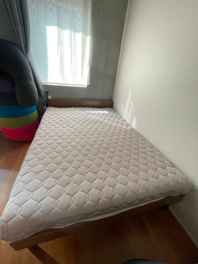 極美品！　ダブルサイズ　ゴクミン