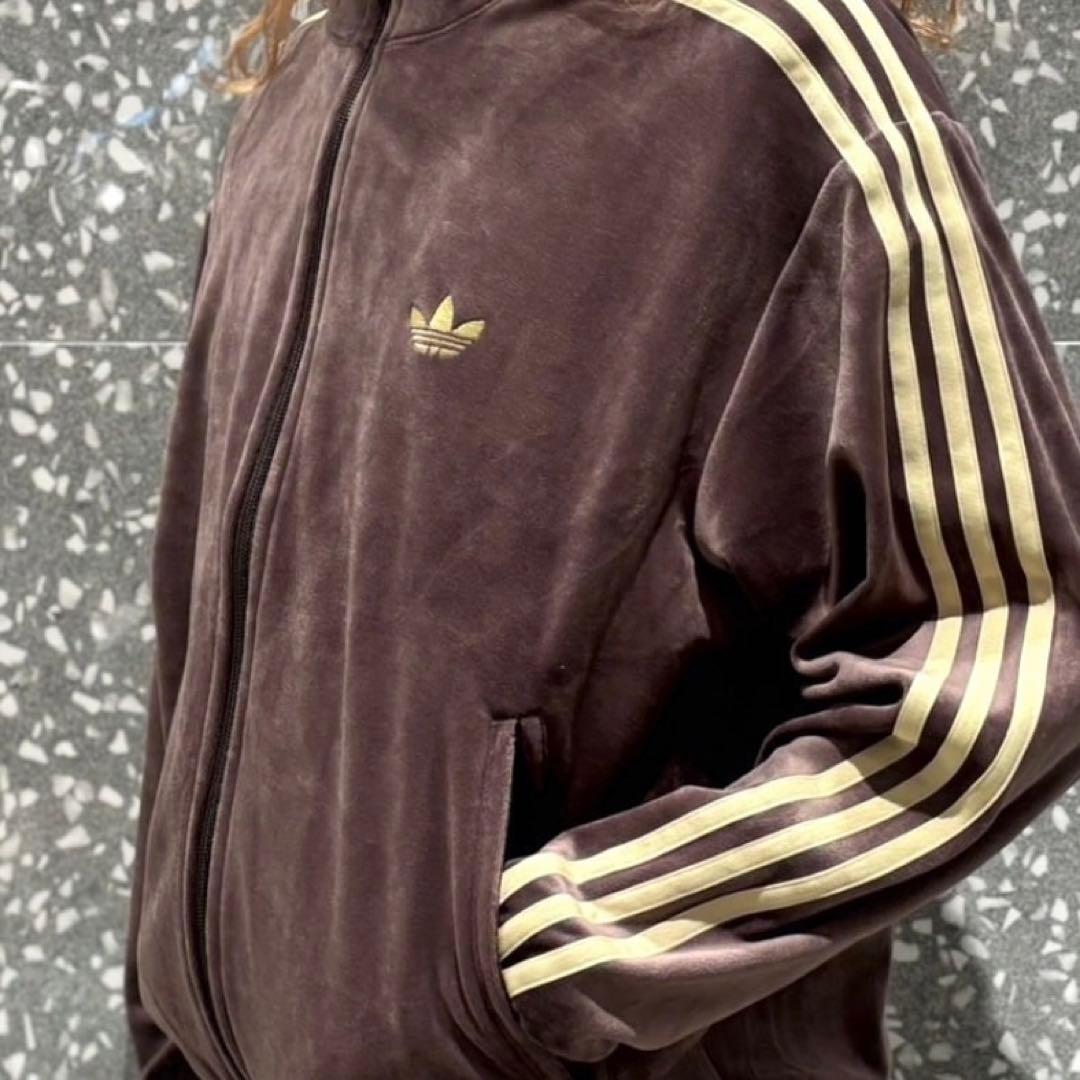 新品XS⭐️adidas ファイヤーバード ベロア トラックトップ ダークブラウン