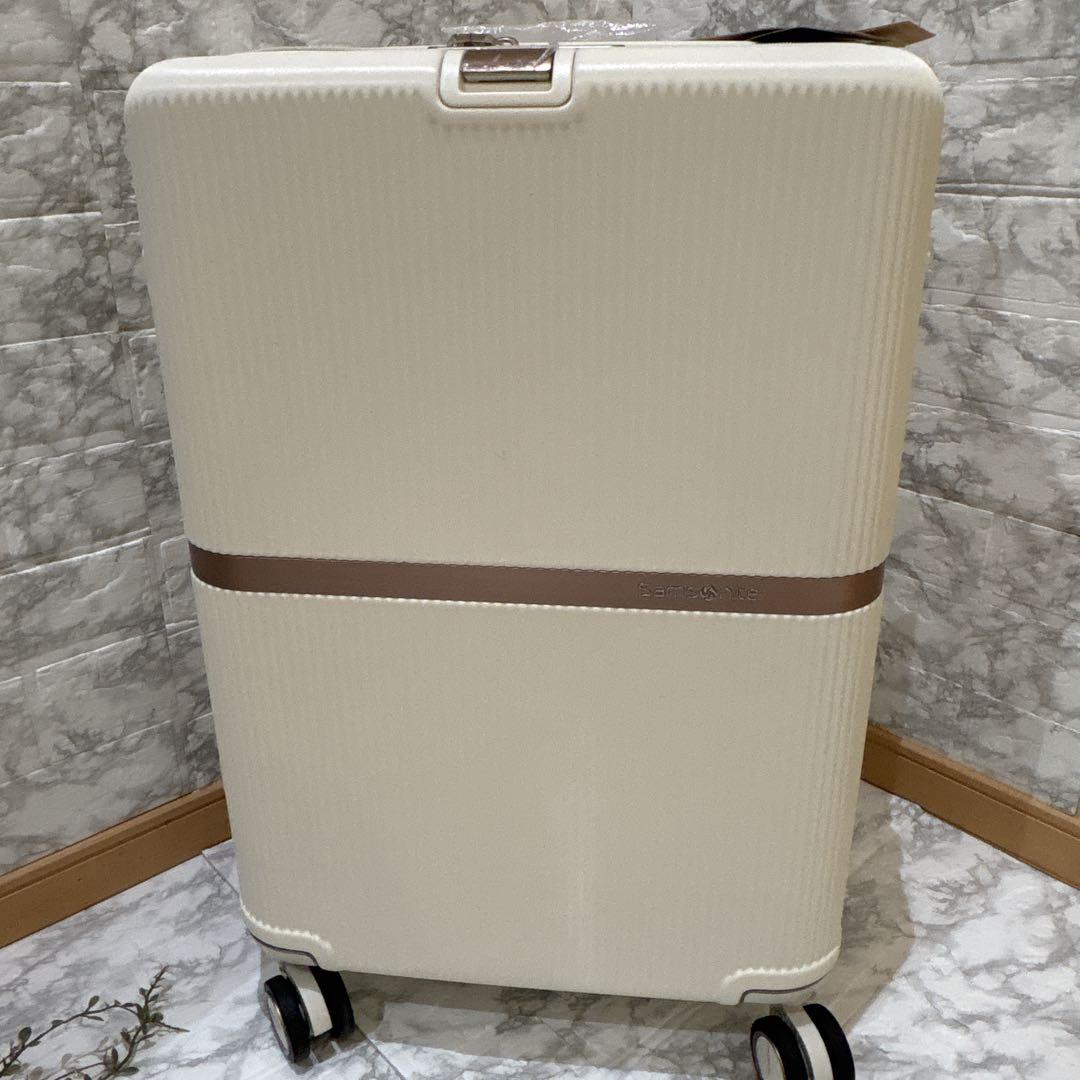 サムソナイトスーツケースMinter 61/22 27L 61cm 3.8kg