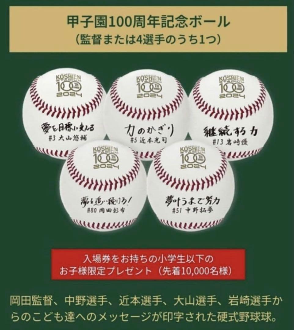 甲子園100周年記念サインボール 5個セット