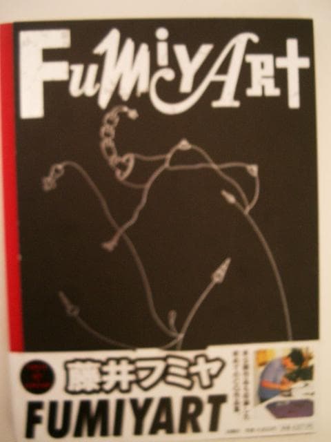 藤井フミヤ写真集           Fumiyart