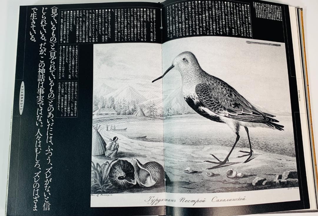 31年前の1993年◆「想像力博物館」　著者: 荒俣宏