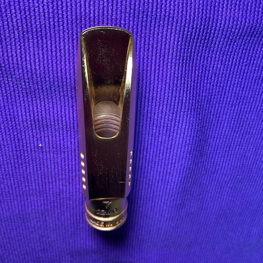 セオワニ EARTH オープニング7 アルトサックスMPリード10枚付