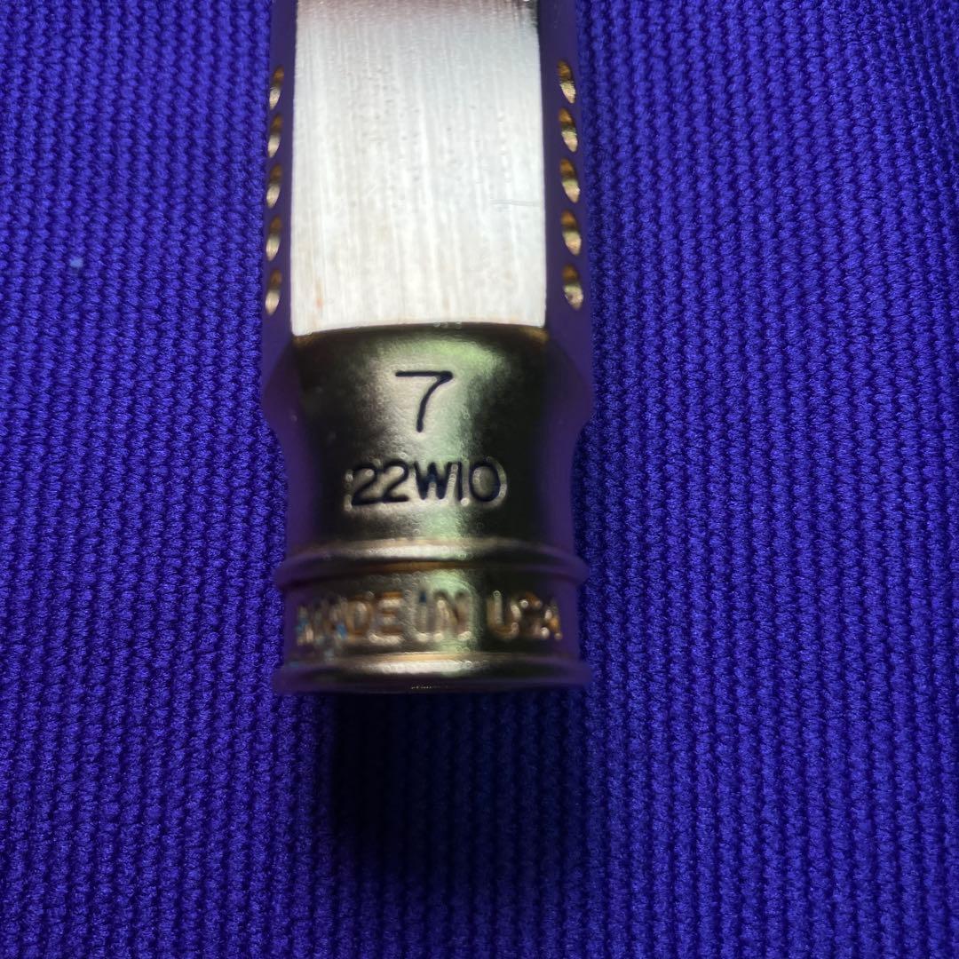 セオワニ EARTH オープニング7 アルトサックスMPリード10枚付