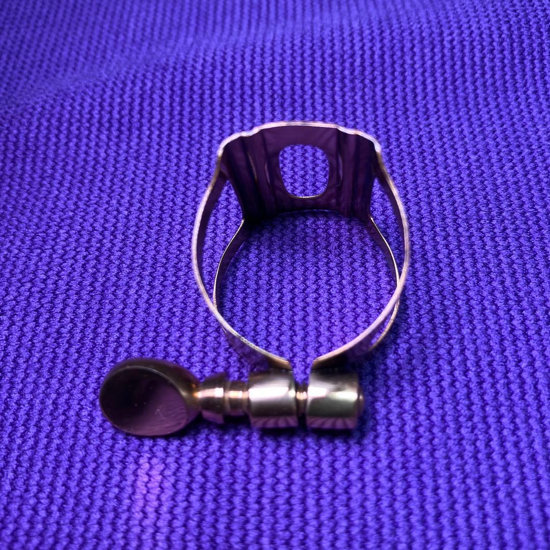 セオワニ EARTH オープニング7 アルトサックスMPリード10枚付