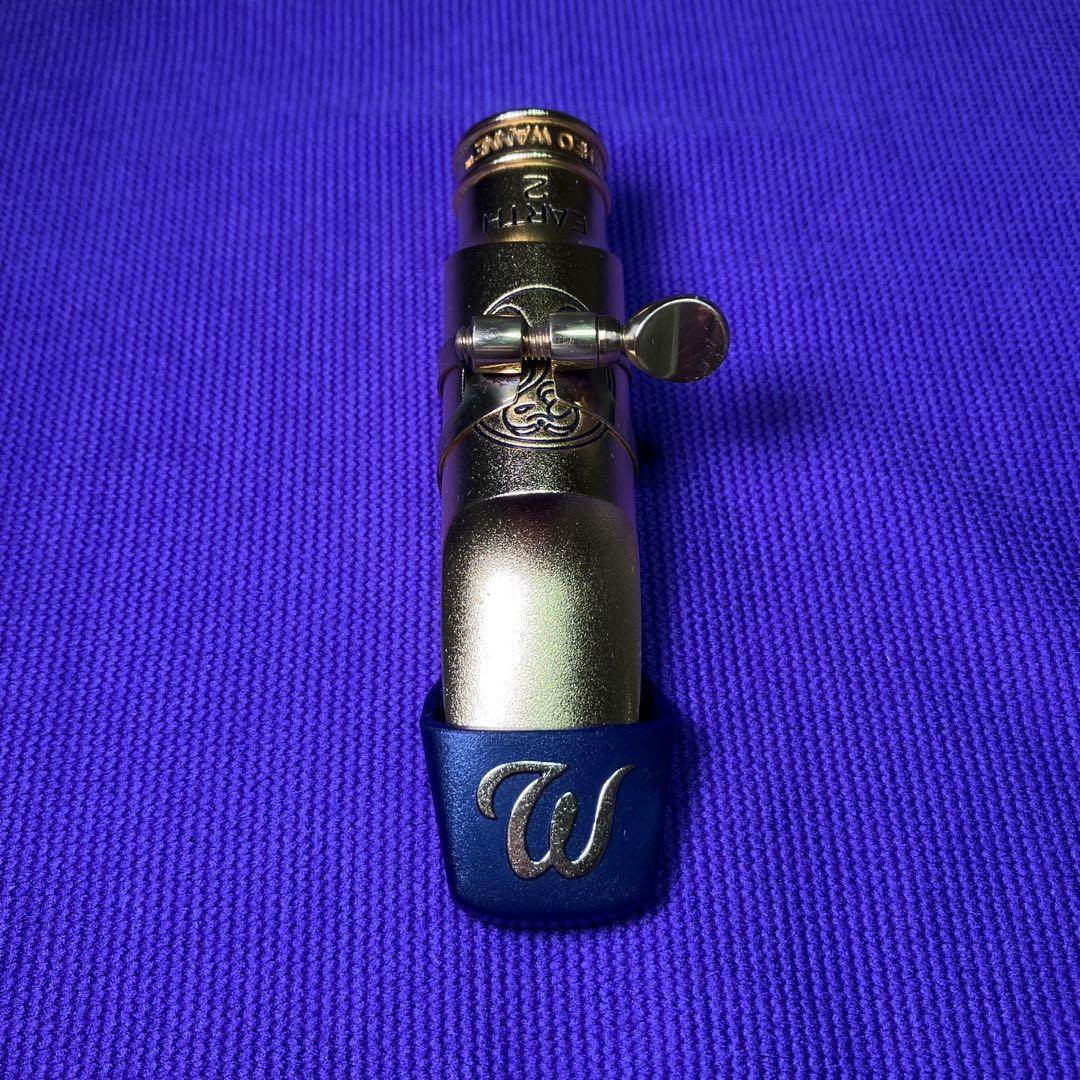 セオワニ EARTH オープニング7 アルトサックスMPリード10枚付