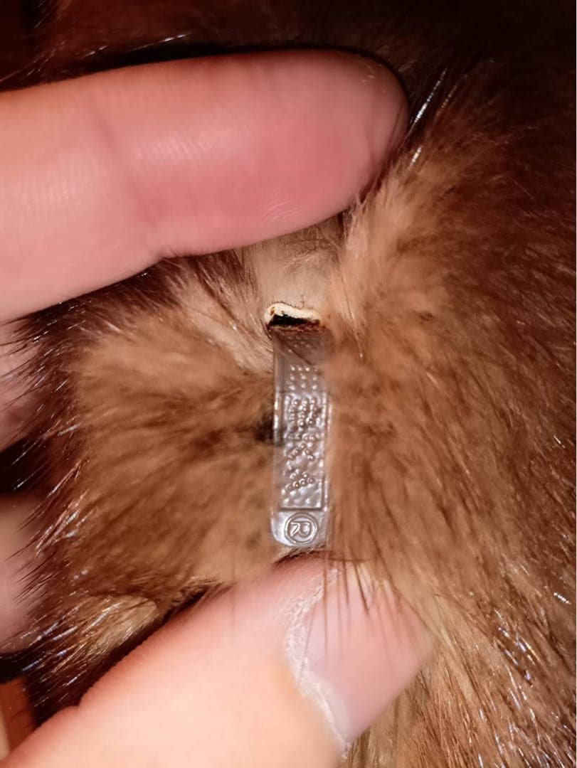 サガミンクコート ブラウン 銀サガ