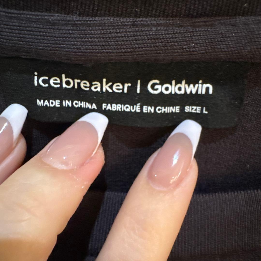 トップス icebreaker Goldwin Merino 15.5 LS Top