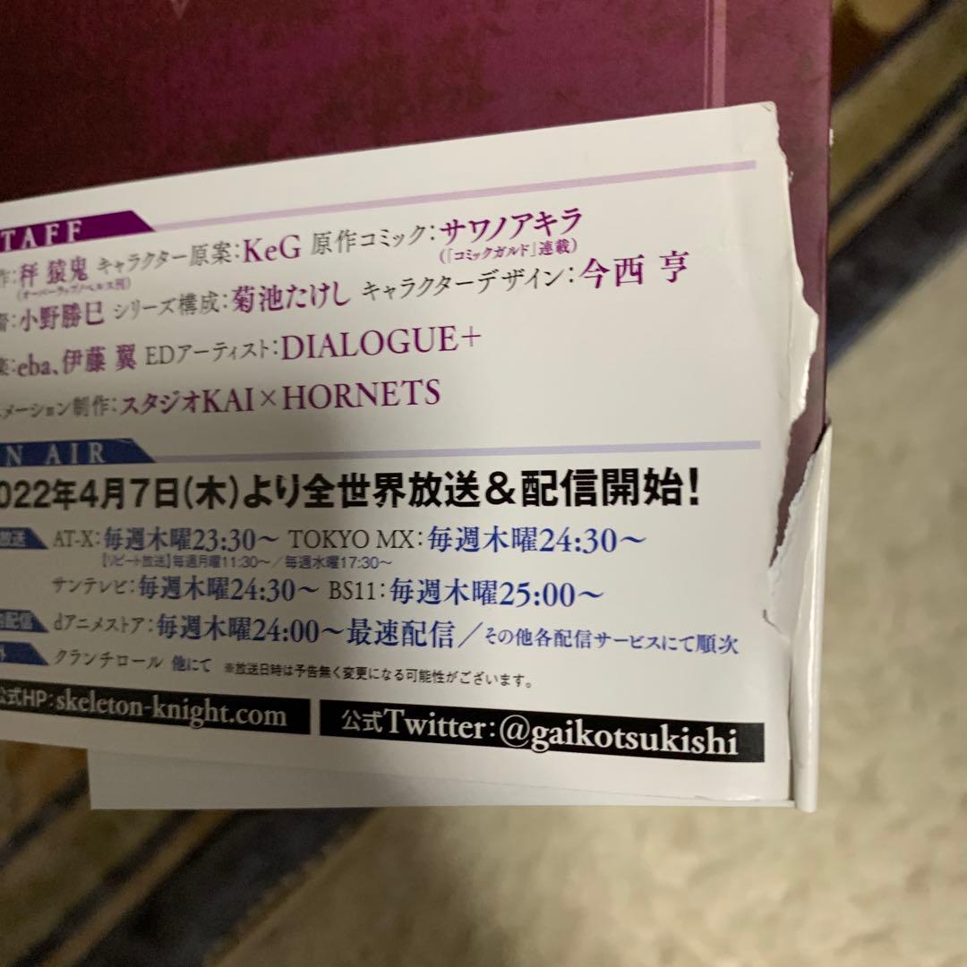 骸骨騎士様、只今異世界へお出掛け中Ⅹ