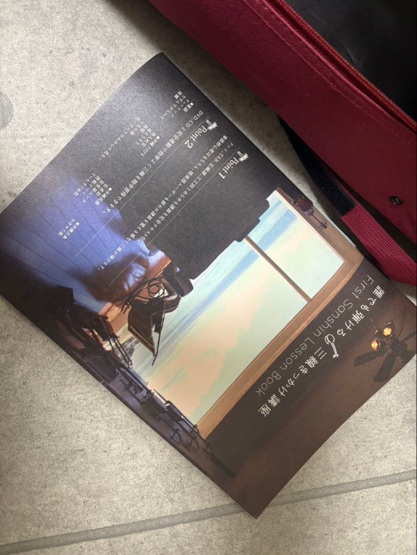 沖縄三線　弦楽器　ケース付き　おまけ付き