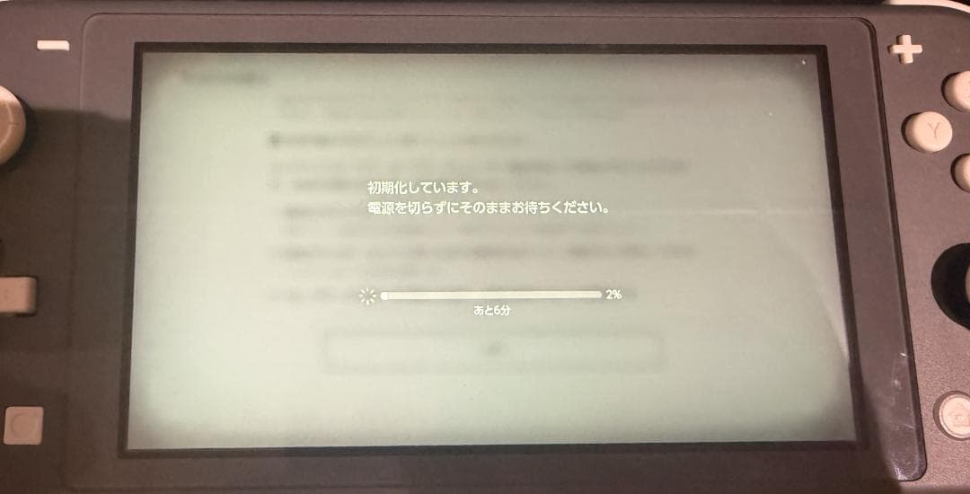 Nintendo Switch Lite グレー【動作確認済】