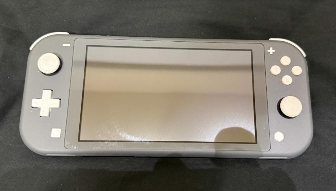 Nintendo Switch Lite グレー【動作確認済】