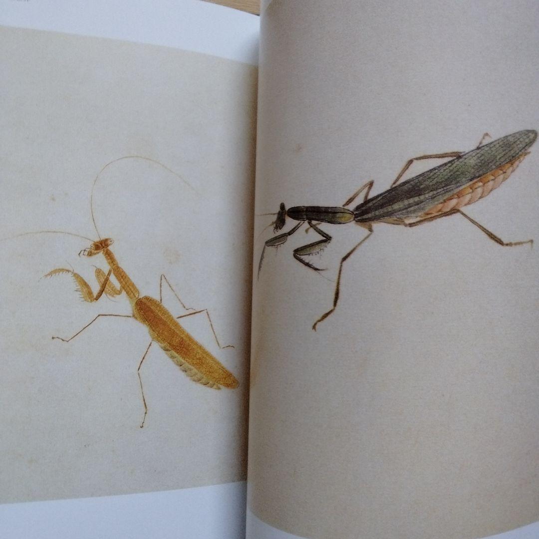 水墨画巨匠【草間偷活.斉白石草虫世界大型画集】北京画院編中国美術研究者の座右の書