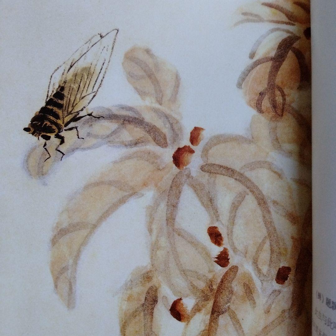 水墨画巨匠【草間偷活.斉白石草虫世界大型画集】北京画院編中国美術研究者の座右の書