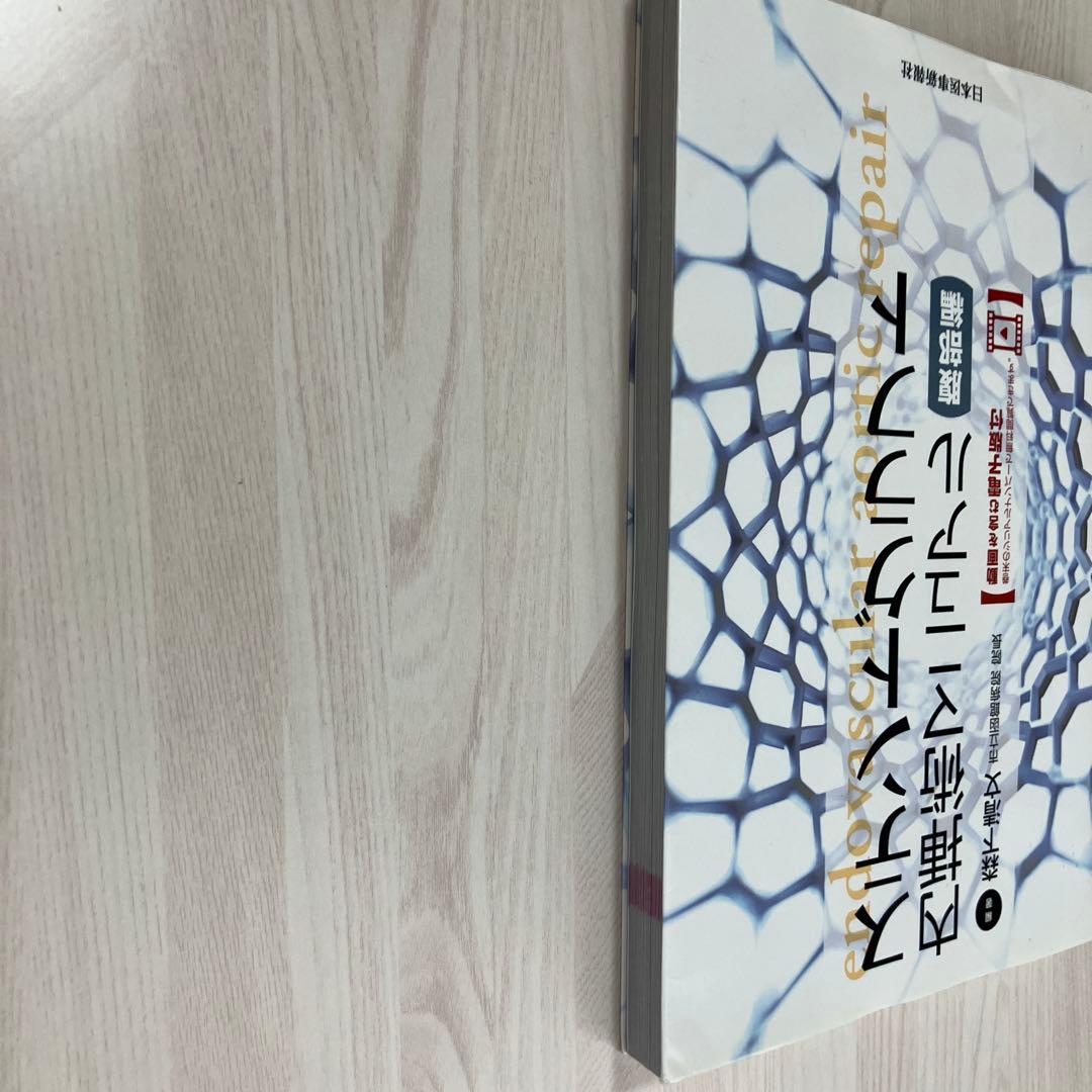 【未裁断】ステントグラフト内挿術マニュアル 腹部編