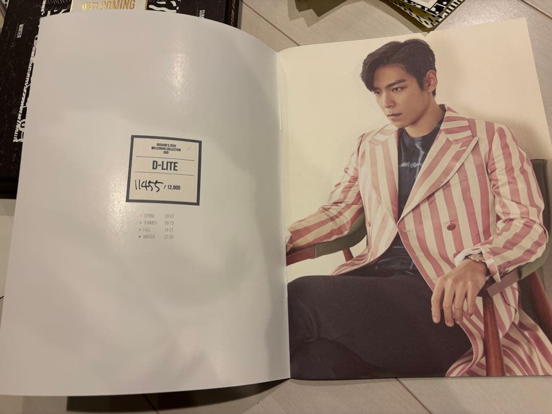 K-POP・アジア BIGBANG 2015 WELCOME COLLECTION DVD