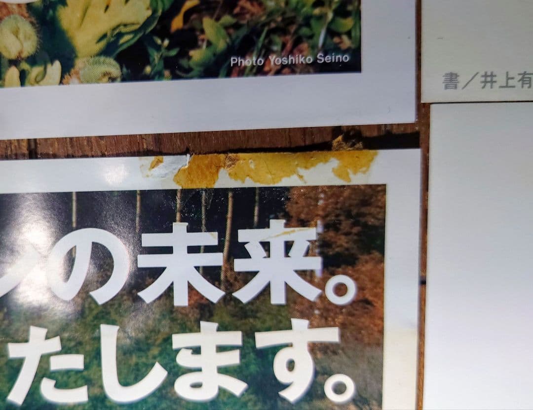 COMME des GARÇONS 1996年ポスターDM