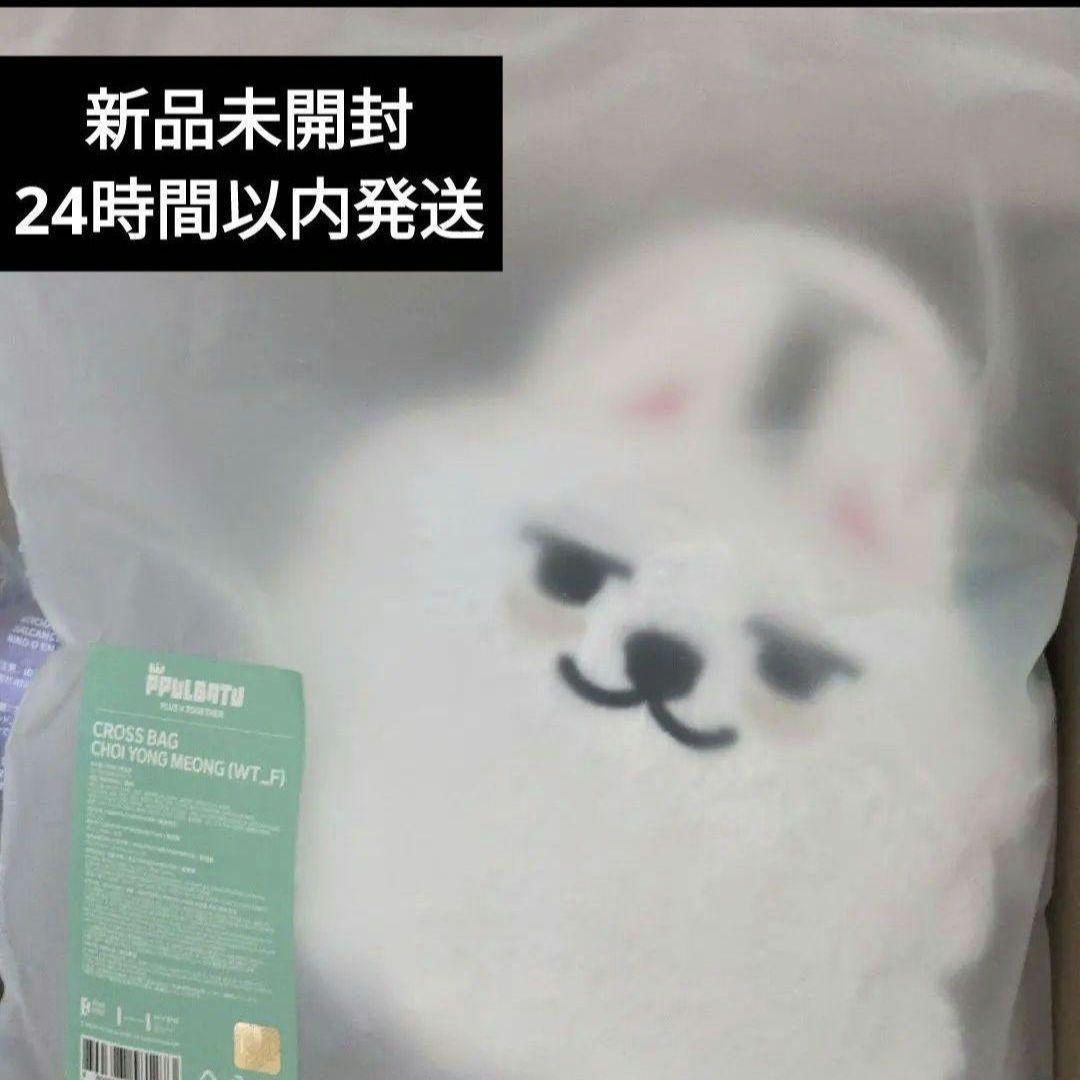 TXT プルバトゥ ヨンモン スビン クロスバッグ