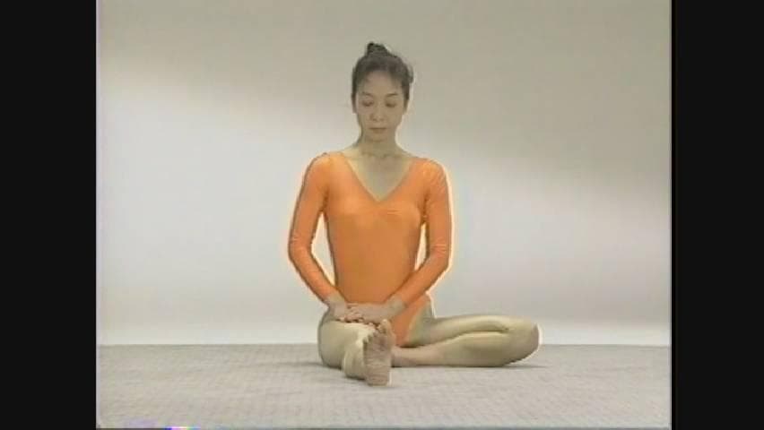 伸長法講座　ビデオセット