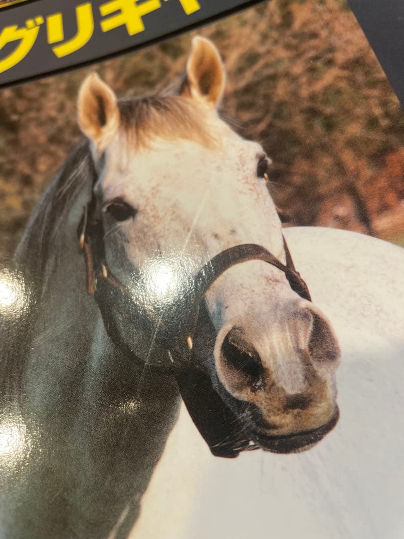 週刊100名馬 100冊＋2冊